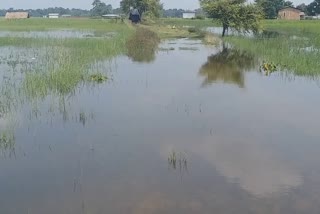The flood situation in Morigaon is gradually improving