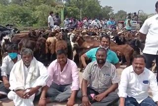 strike on road for sheep units not supplied by govt