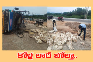 chicken lorry overturned at tondavada on national highway at Chittoor