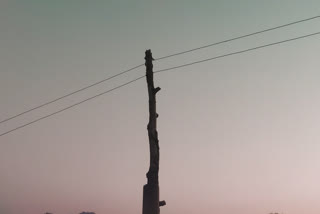 All electric wooden poles will be replaced by March 2021 in Karsog