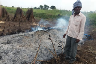 nidentified person set fire to soybean stubble