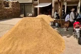 farmers facing problem in selling crops in ballabhgarh grain market