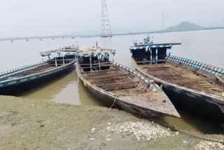 Success of Goalpara river police: Illegal cattle seized from three boats