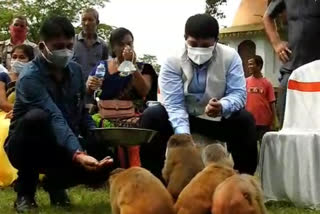 Agriculture Minister Atul Bara with animals at Golaghat's Numligarh