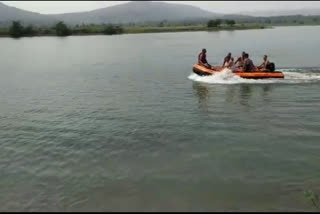 tiger head not found during rescue