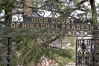 himachal court on corona case