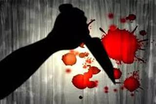 a-man-attacked-mother-daughter-attack-with-knife-in-badripur