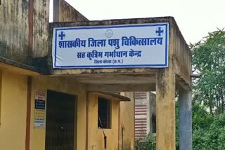 Korba Animal Husbandry Department