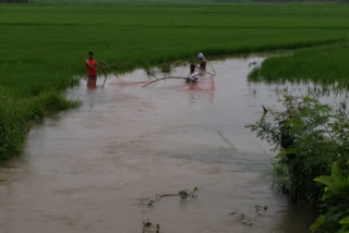 vishaka rain