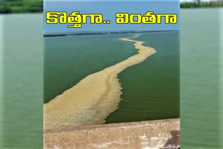 pollution-foam-in-godavari-at-godavarikhani-peddapalli-district