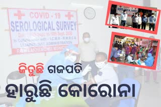 anti body devloped in 65 percent people of Gajapati: Serological survey reports