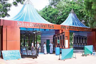 Hyderabad Zoo re-opens after nearly seven months