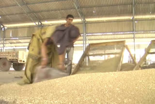 Bhiwani millets and moong purchase update