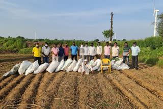 Police raid on hemp farm