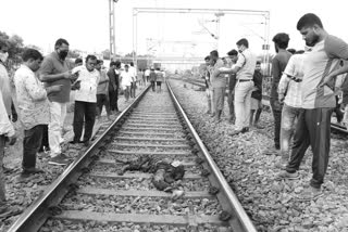 Young man died in train collision in kumurambheem asifabad district