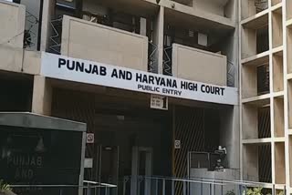 high-court-orders-to-address-monkey-problem-in-chandigarh-city