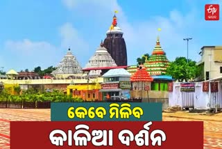 puri-jaganaath-temple-manage-commite-yet-to-convince-on-no-visiters-to-jagannath-temple-issue