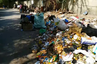 garbage dumping on road