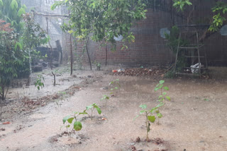 rainfall on guntur district