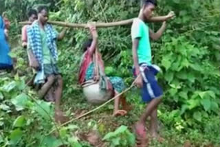 Family carries pregnant woman on cot in Odisha