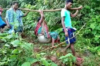 Pregnant Woman Carried in Cot