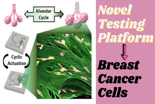breast cancers news 2020,novel testing cancers