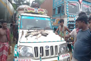 vehicle-and-fish-traders-protest-in-bhadreshwar