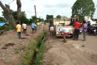 Bemetara youth planted saplings