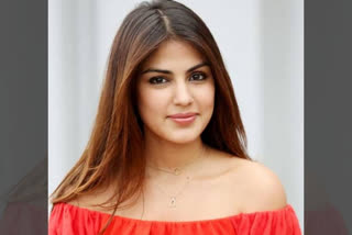 bollywood celebs reaction on rhea chakraborty bail