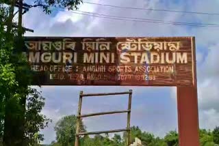 Signature project Mini Stadium construction corruption in Amguri