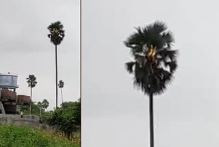 thunder storms in tadagonda village