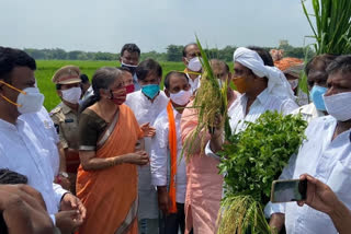 Sitharaman stops by at paddy field near Vijayawada
