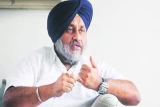 sukhbir badal asks cm to release rs2500 per acre as promised to farmers to manage paddy stubble