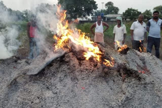 pingali village farmers crop loss in five acres due to soyabeen husk fire at parbhani