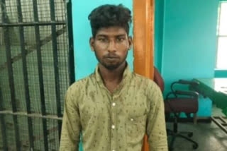 Nagai Youth arrested POCSO Act  Nagai Youth arrested  POCSO Act  சிறுமிக்கு தொந்தரவு  இளைஞர் போக்சோ சட்டத்தில் கைது