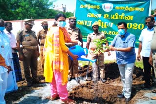 வனத்துறை சார்பில் மரக்கன்றுகள் நடும் விழா