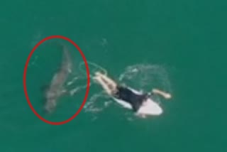 Drone video: Aus surfer has close call with shark