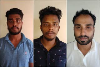 മുഖ്യപ്രതികൾ പിടിയിൽ  main accused arrested  cannabis smuggling gang  smuggling gang  smuggling gang arrested  കഞ്ചാവു കടത്തു സംഘം  കഞ്ചാവു കടത്ത് മുഖ്യപ്രതികൾ പിടിയിൽ