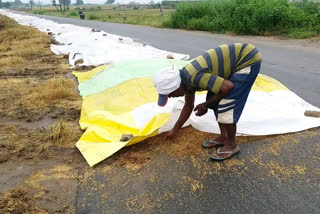 Submerged crop fields due to heavy rains at Nizamabad Armor