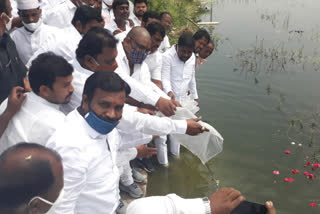 rajendra nagar mla distributed fish in lakes