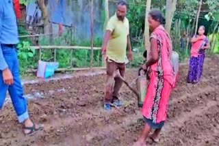 pradan Institution providing training to villagers, farmers in chaibasa