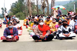 Mother Teresa Women's University workers