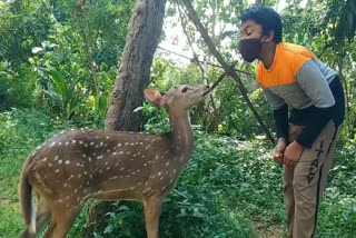 baby deer in kasargod  കാസര്‍കോട്ടെ പുള്ളമാൻ കുഞ്ഞ്  കാസര്‍കോട് വാര്‍ത്തകള്‍  kasargod news