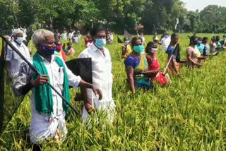 Farmers protest against land acquisition
