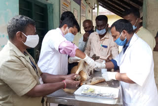 ಅಪರೇಷನ್ ಡಾಗ್ ಕಾರ್ಯಾಚರಣೆ