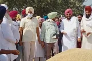 Gurjit Singh Aujla visited Bhagatwala Dana Mandi