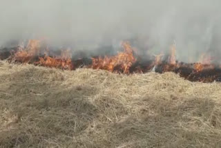 The burning of straw is not stopping in amritsar