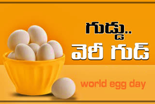 special-story-on-world-egg-day-2020