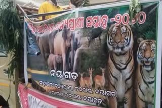 Cycling rally on the occasion of the 66th Wildlife Week