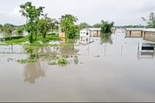 Flood in Bishwanath